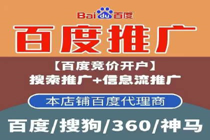 某电商平台的成功信息流代运营策略